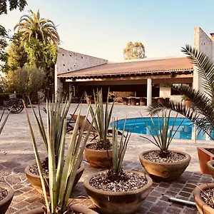 Maria & Bernardo Casa - Vinedo Bed & Breakfast